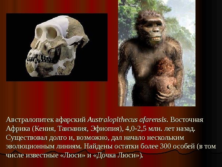 Австралопитек афарский Australopithecus afarensis. .  Восточная Африка (Кения, Танзания, Эфиопия), 4, 0 -2,