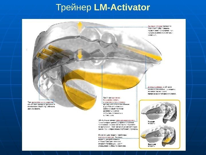   Трейнер LM-Activator 