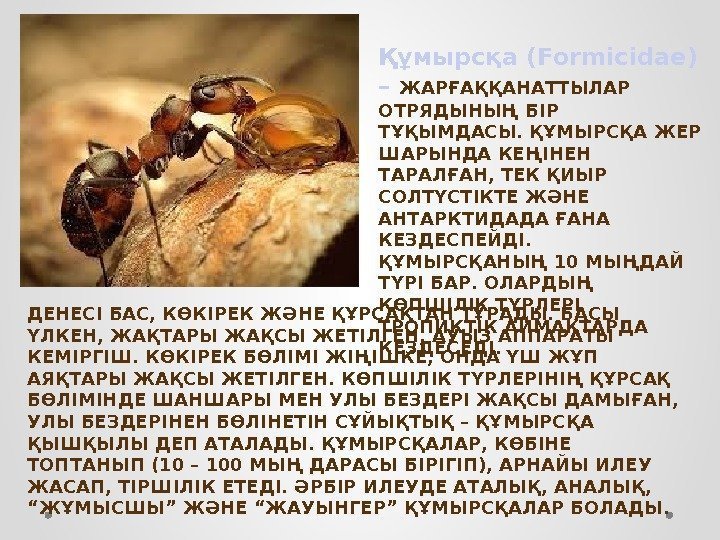 Құмырсқа (Formicidae) – ЖАРҒАҚҚАНАТТЫЛАР ОТРЯДЫНЫҢ БІР ТҰҚЫМДАСЫ. ҚҰМЫРСҚА ЖЕР ШАРЫНДА КЕҢІНЕН ТАРАЛҒАН, ТЕК ҚИЫР