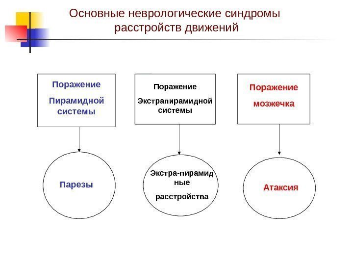 Основные неврологические синдромы презентация