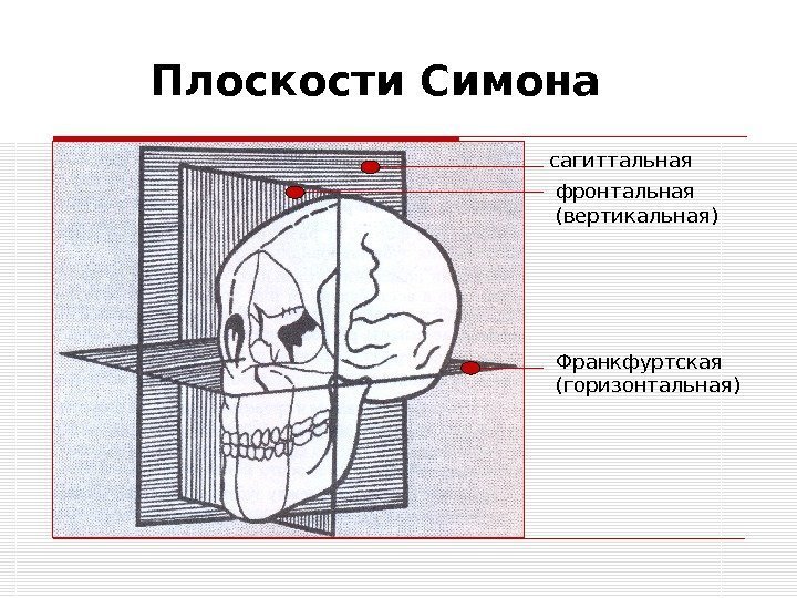 сагиттальная фронтальная (вертикальная) Франкфуртская (горизонтальная)Плоскости Симона 