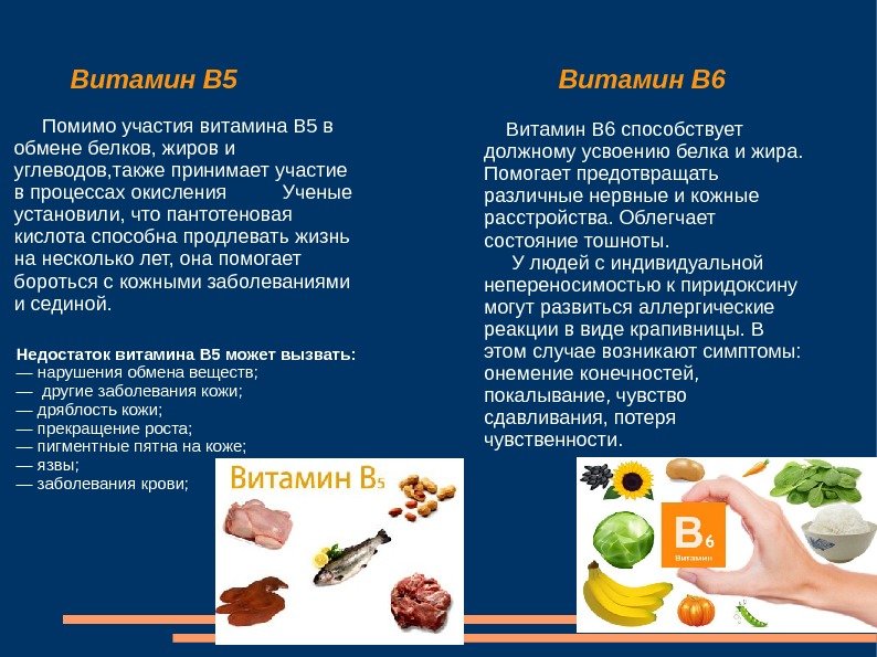Витамин B 5  Помимо участия витамина B 5 в обмене белков, жиров и