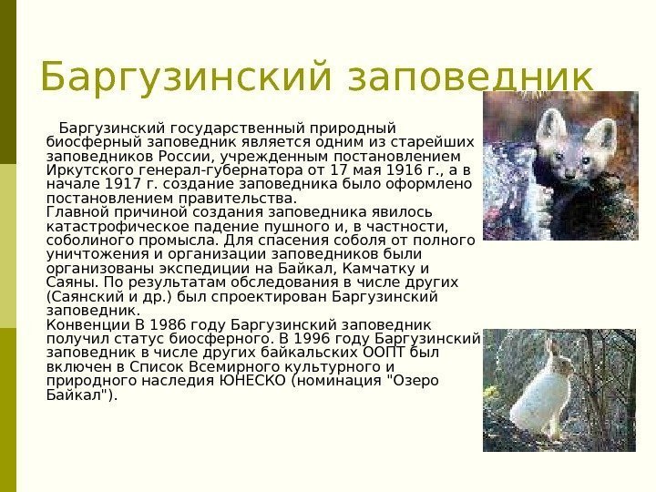 Баргузинский заповедник Баргузинский государственный природный биосферный заповедник является одним из старейших заповедников России, учрежденным