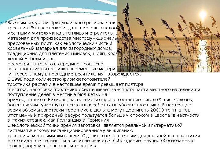 Важным ресурсом Придунайского региона является тростник. Это растение издавна использовалось местными жителями как топливо