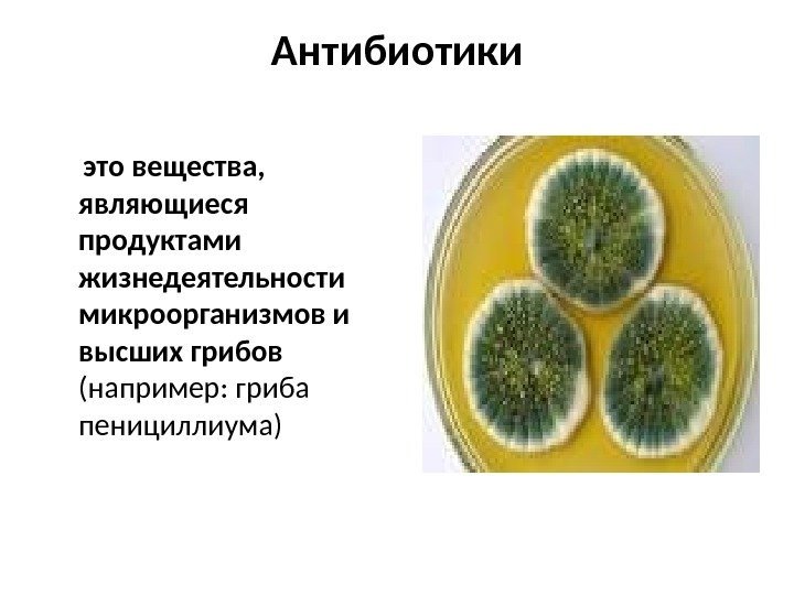 Антибиотики это вещества,  являющиеся продуктами жизнедеятельности микроорганизмов и высших грибов (например: гриба пенициллиума)