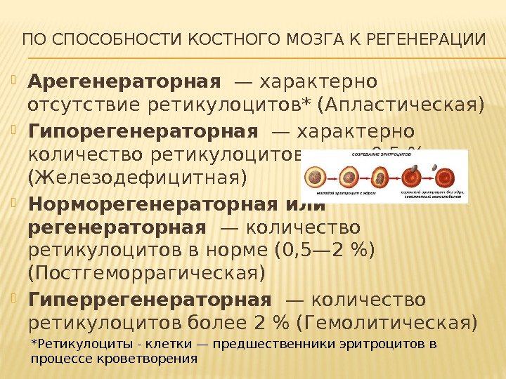 ПО СПОСОБНОСТИ КОСТНОГО МОЗГА К РЕГЕНЕРАЦИИ Арегенераторная — характерно отсутствие ретикулоцитов* (Апластическая) Гипорегенераторная —