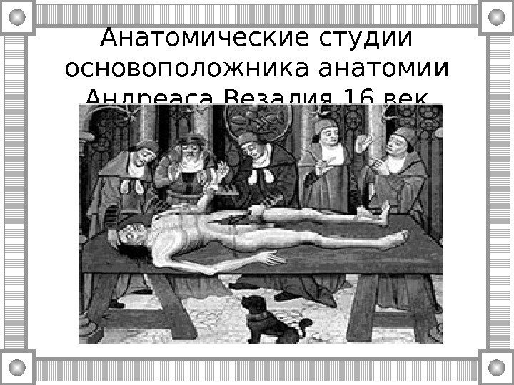 Анатомические студии основоположника анатомии Андреаса Везалия 16 век 