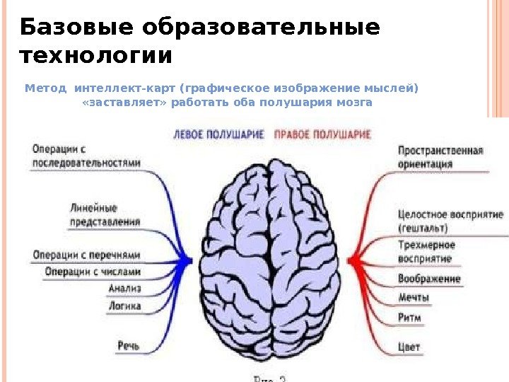 Метод интеллект-карт ( графическое изображение мыслей) «заставляет» работать оба полушария мозга. Базовые образовательные технологии