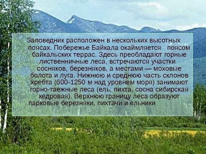  Заповедник расположен в нескольких высотных поясах. Побережье Байкала окаймляется  поясом байкальских террас.