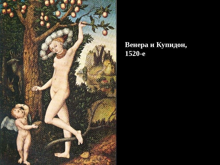 Венера и Купидон,  1520 -е 