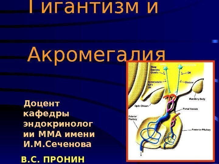   Доцент кафедры эндокринолог ии ММА имени И. М. Сеченова  В. С.