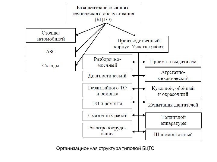 Организационная структура типовой БЦТО 