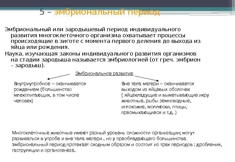 5 – эмбриональный период Эмбриональный или зародышевый период индивидуального развития многоклеточного организма охватывает процессы