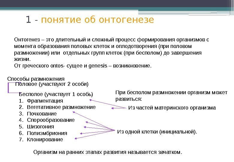 Онтогенез – это длительный и сложный процесс формирования организмов с момента образования половых клеток