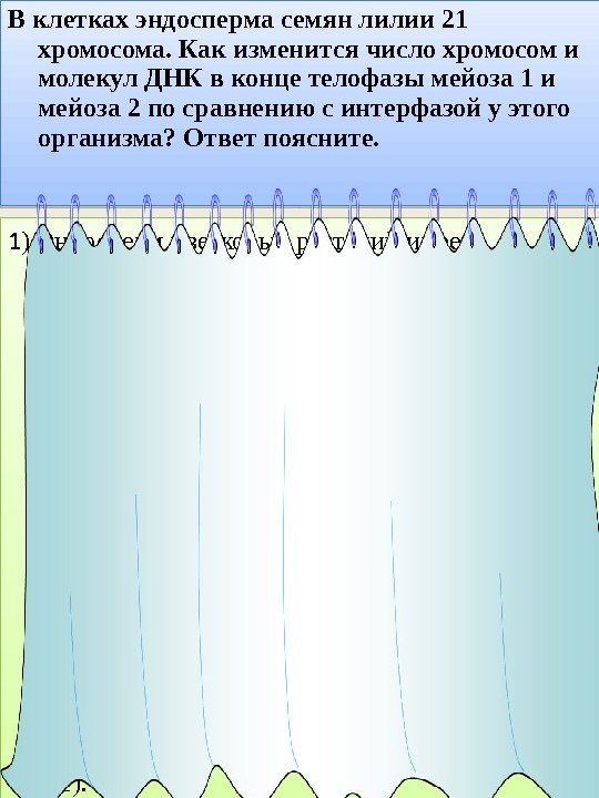 В клетках эндосперма семян лилии 21 хромосома. Как изменится число хромосом и молекул ДНК