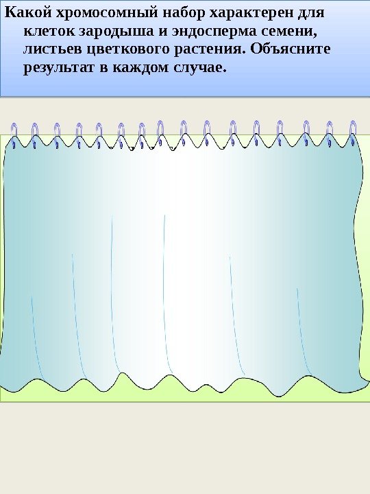 Какой хромосомный набор характерен для клеток зародыша и эндосперма семени,  листьев цветкового растения.