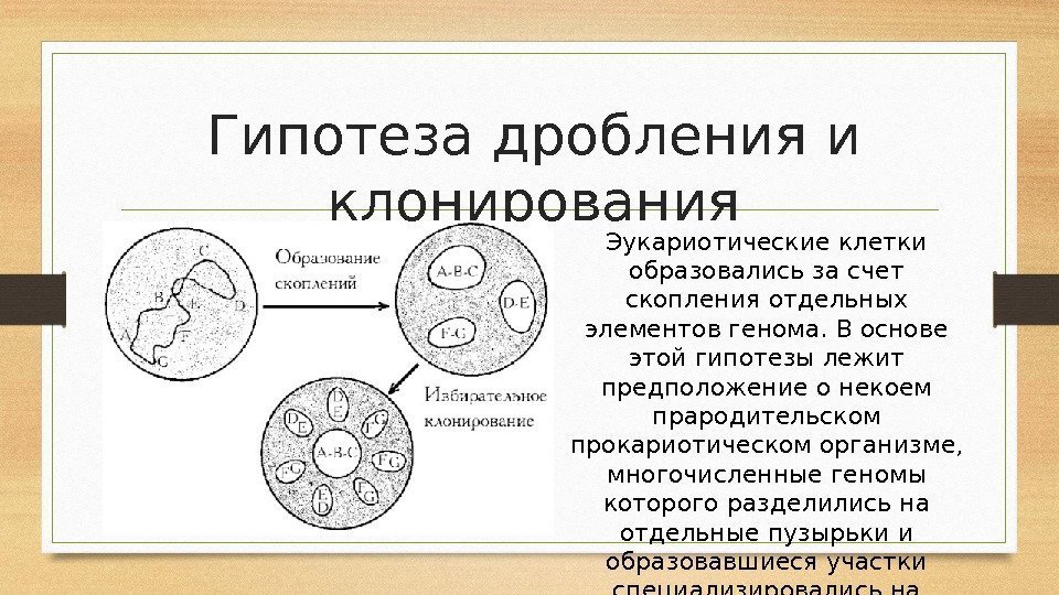 Диапазон это совокупность клеток образующих