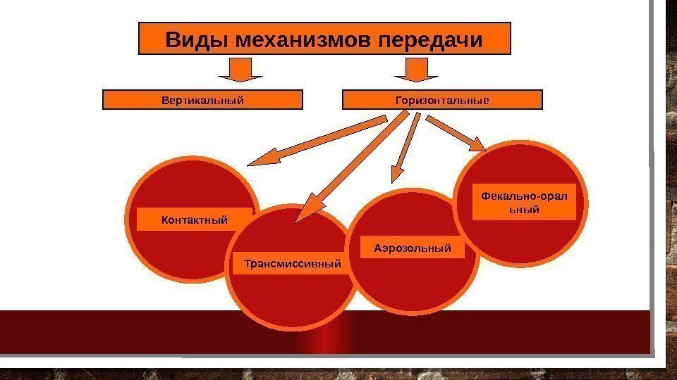 Контактный Трансмиссивный Аэрозольный. Виды механизмов передачи Горизонтальные. Вертикальный Фекально-орал ьный 