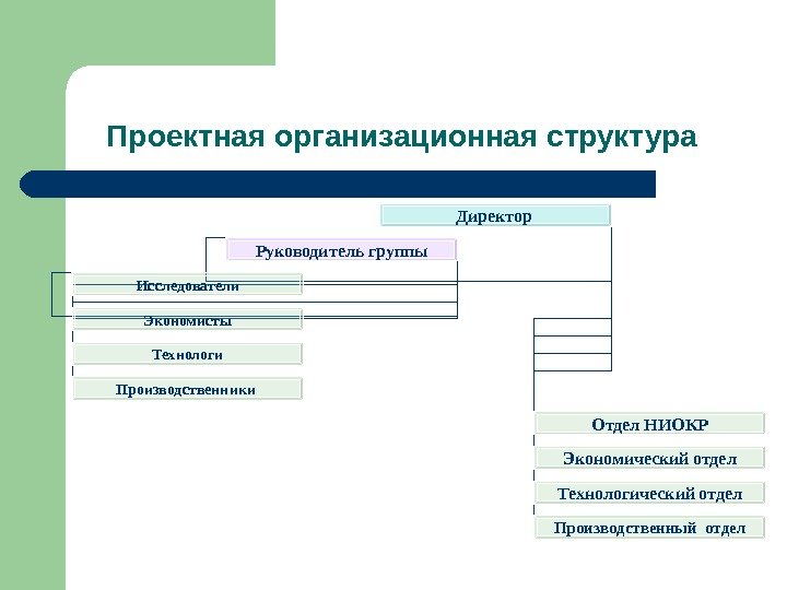 Проектная организационная структура  Директор Отдел НИОКР Экономический  отдел Технологический  отдел Производственный