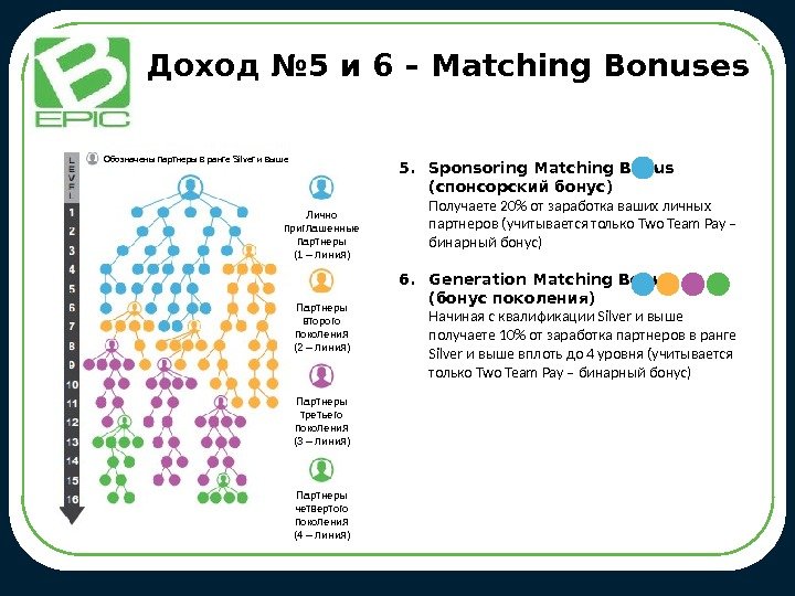 Доход № 5 и 6 – Matching Bonuses 5. Sponsoring Matching Bonus (спонсорский бонус)