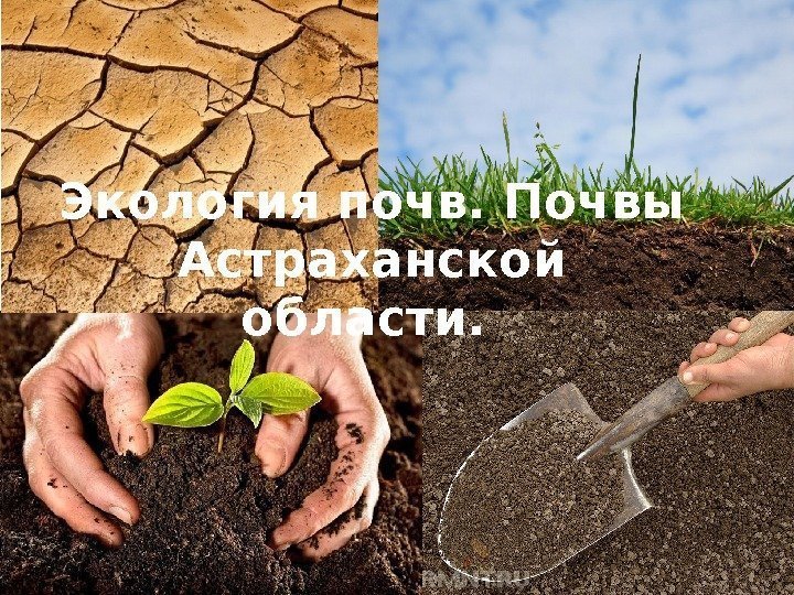 Экология почв. Почвы Астраханской области.  
