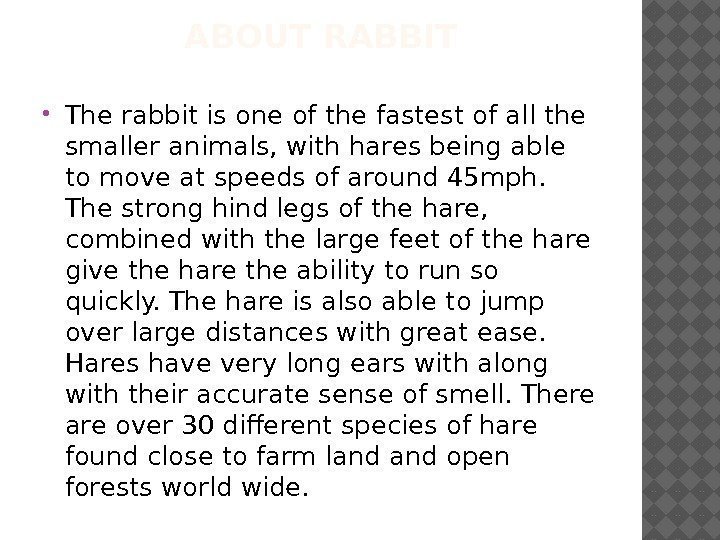 ABOUT RABBIT The rabbit is one of the fastest of all the smaller animals,