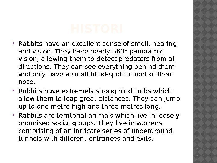 HISTORI Rabbits have an excellent sense of smell, hearing and vision. They have nearly