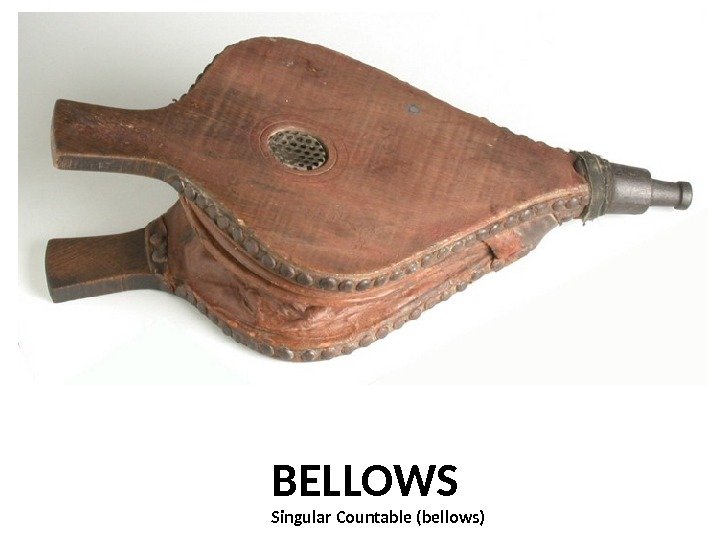 BELLOWS Singular Countable (bellows) 