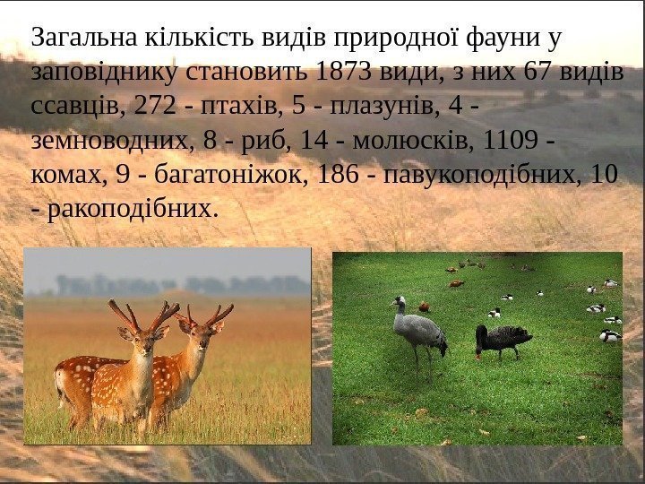 Загальна кількість видів природної фауни у заповіднику становить 1873 види, з них 67 видів