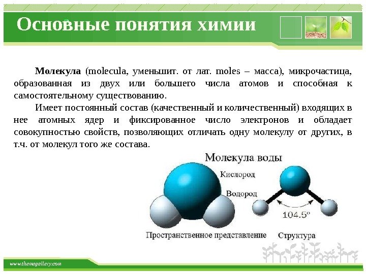 www. themegallery. com Основные понятия химии Молекула  (molecula,  уменьшит.  от лат.