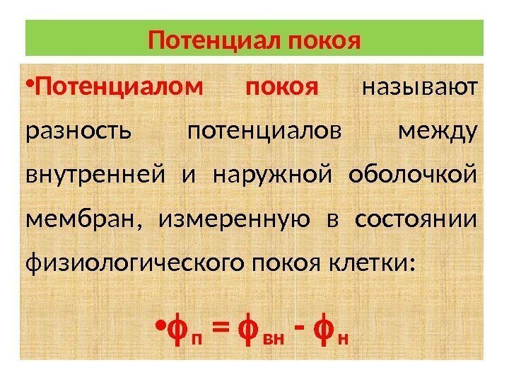 Потенциал покоя • Потенциалом покоя называют разность потенциалов между внутренней и наружной оболочкой мембран,