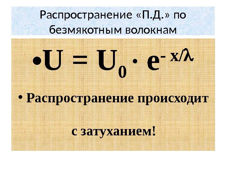 Распространение «П. Д. » по безмякотным волокнам • U = U 0 e -