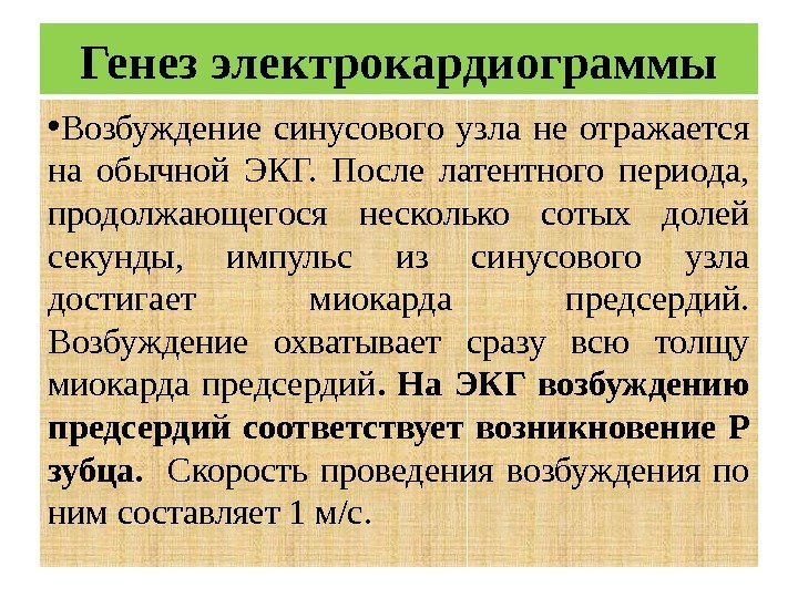 Генез электрокардиограммы • Возбуждение синусового узла не отражается на обычной ЭКГ.  После латентного