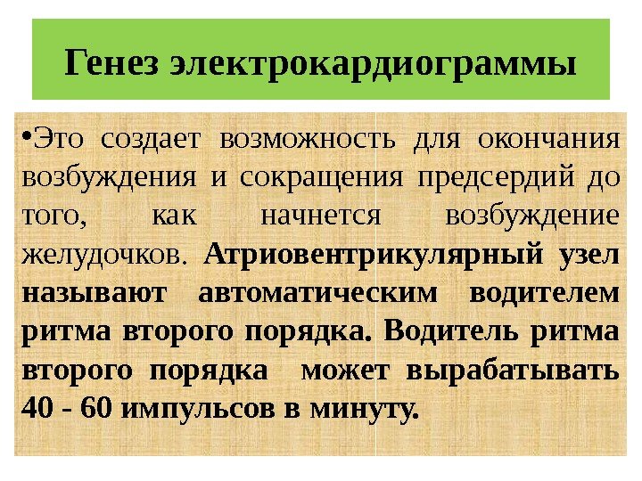  • Это создает возможность для окончания возбуждения и сокращения предсердий до того, 