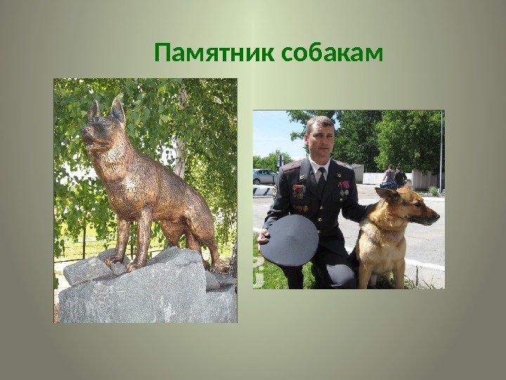 Памятник собакам  