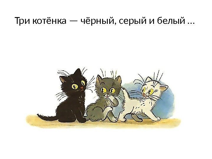 Три котёнка — чёрный, серый и белый … 
