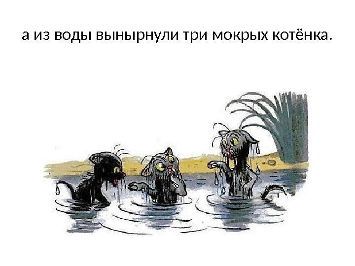 а из воды вынырнули три мокрых котёнка. 