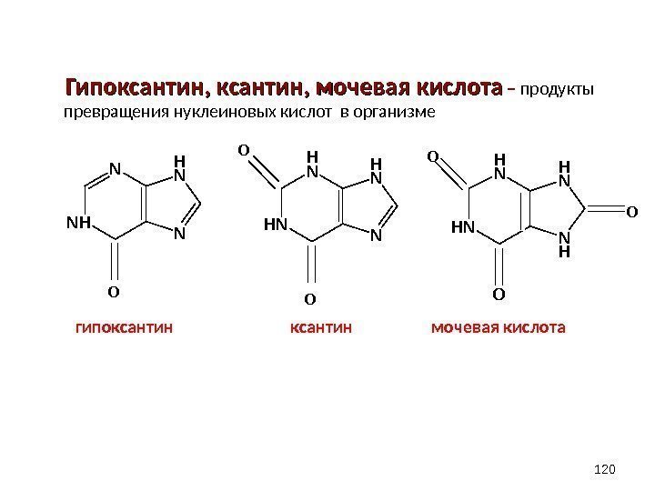    Гипоксантин, мочевая кислота – продукты превращения нуклеиновых кислот в организме 