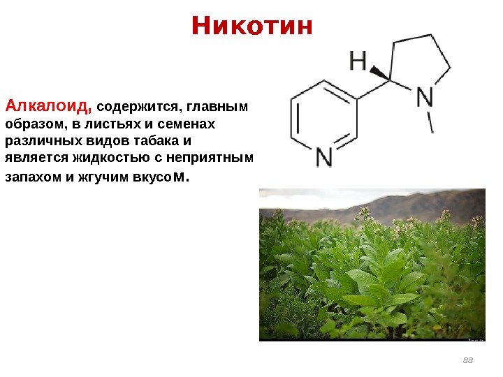 Алкалоид,  содержится, главным образом, в листьях и семенах различных видов табака и является