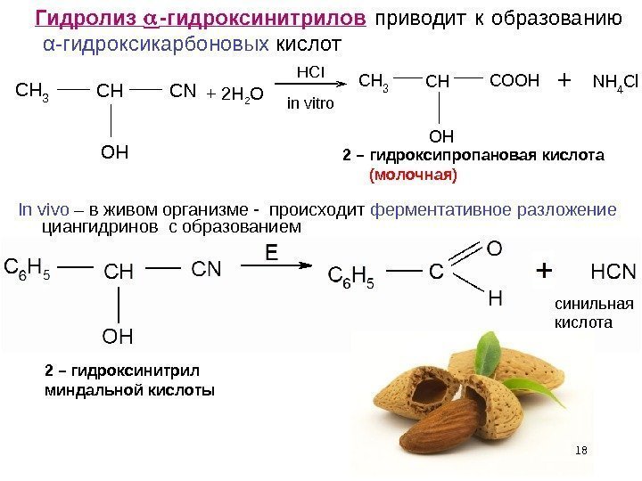 18  Гидролиз  -гидроксинитрилов  приводит к образованию α -гидроксикарбоновых кислот. CH 3