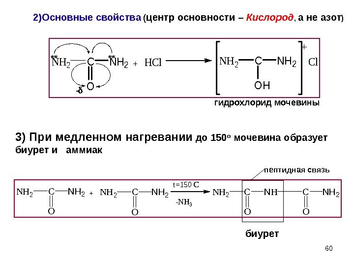 602)Основные свойства  ( центр основности – Кислород ,  а не азот )