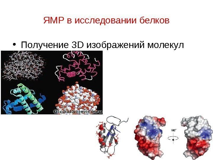 ЯМР в исследовании белков • Получение 3 D изображений молекул 