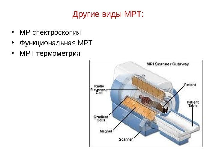 Другие виды МРТ:  • МР спектроскопия • Функциональная МРТ • МРТ термометрия 