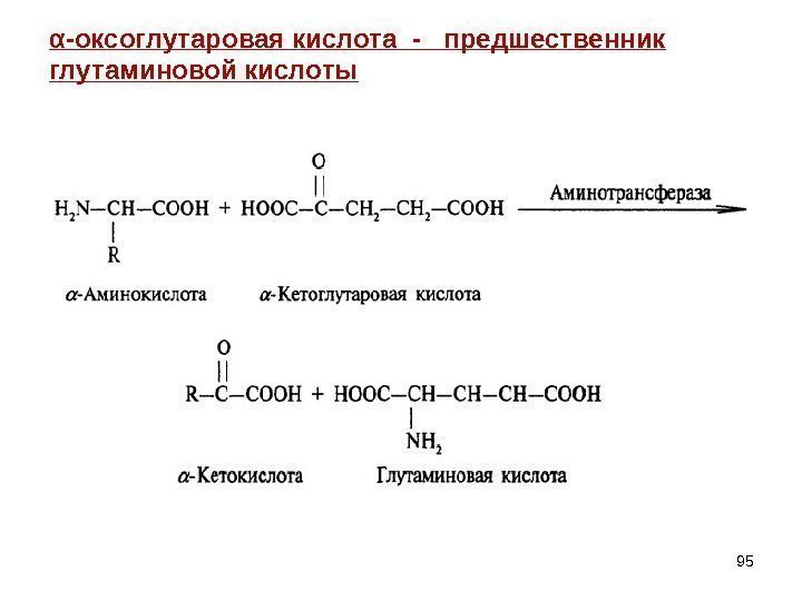95α -оксоглутаровая кислота -  предшественник глутаминовой кислоты 