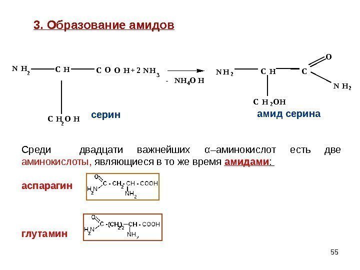 55 -  N H 4 O HN H 2 C H C O