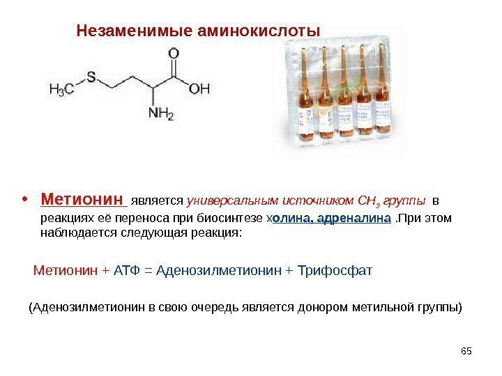 65 Незаменимые аминокислоты • Метионин  является универсальным источником СН 3 группы  в