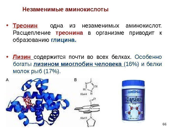  • Треонин одна из незаменимых аминокислот.  Расщепление треонина в организме приводит к