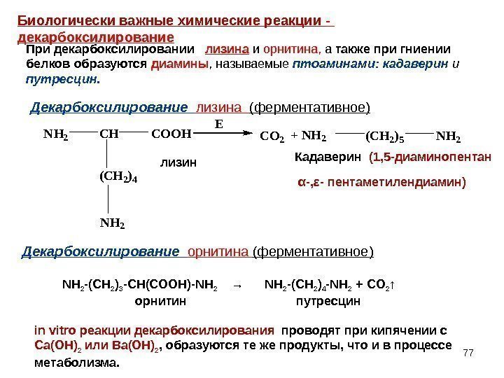 77 Биологически важные химические реакции -  декарбоксилирование При декарбоксилировании  лизина и орнитина,