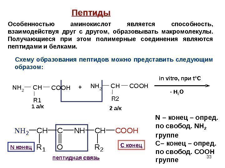 33 NH 2 CHCOOH R 1 NH 2 CHCOOH R 2+ in vitro, 