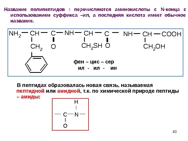 40 Название полипептидов :  перечисляются аминокислоты с N- конца с использованием суффикса –ил,